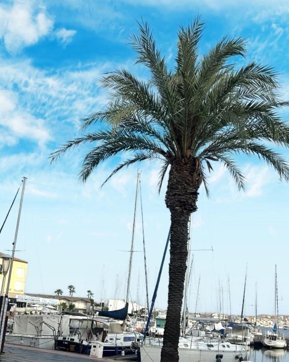 Cosy Climatise Vue Sur Port Apartamento *